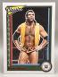 Preview: Razor Ramon Classics 029/199 - 2023 Panini Chronicles WWE