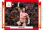 Preview: 2024 Panini Photogenic WWE Hobby