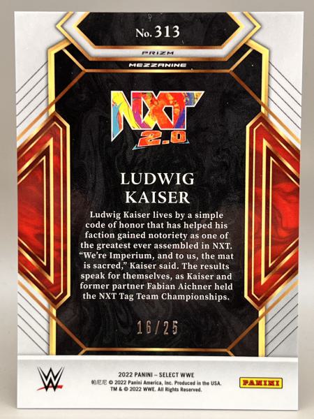 Ludwig Kaiser Tie-Dye 16/25 - 2022 Panini Select WWE