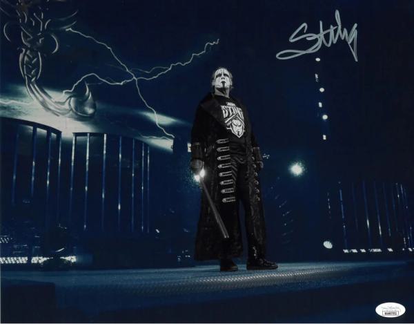 Sting "Entrance" handsigniert Metallic 11"x14" mit Zertifikat